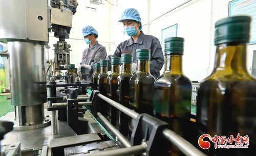 高臺(tái)縣 以礦物加工思維賦能農(nóng)產(chǎn)品精深加工產(chǎn)業(yè)鏈升級(jí)